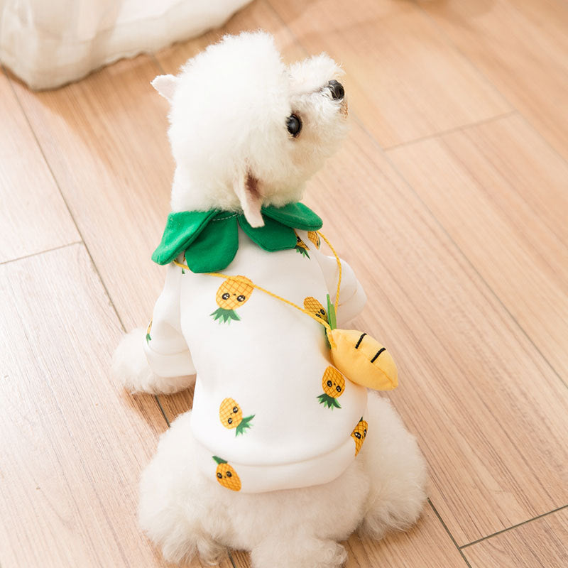 e0907688ebf7e45a57da2c522fa6723c